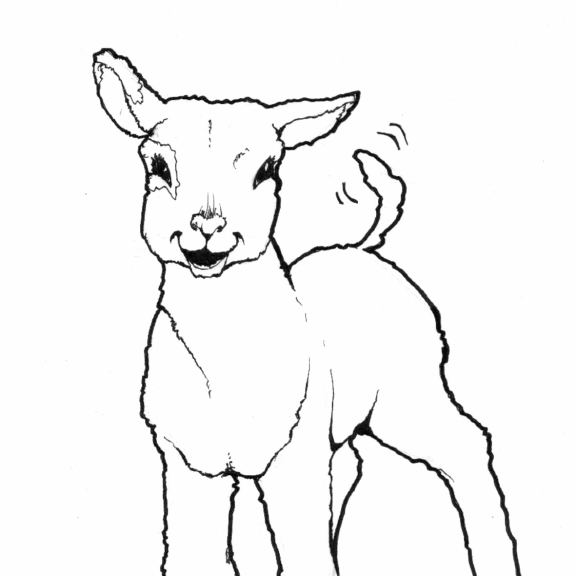 Lamb coloring page