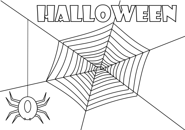 Spider web coloring page