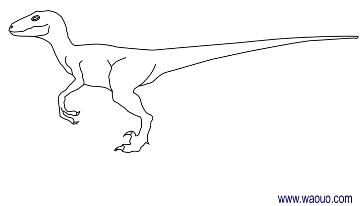 Dibujo de Velociraptor para colorear