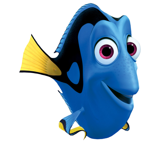 Dory