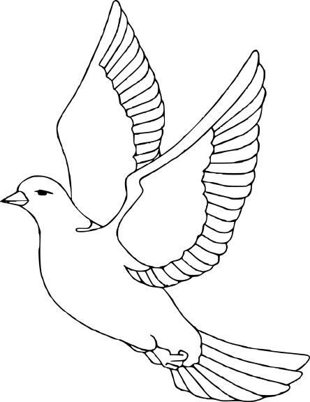 Dove coloring page