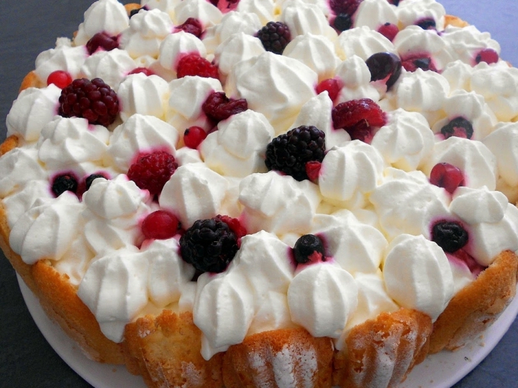 Gateau fruit biscuit à la cuillere