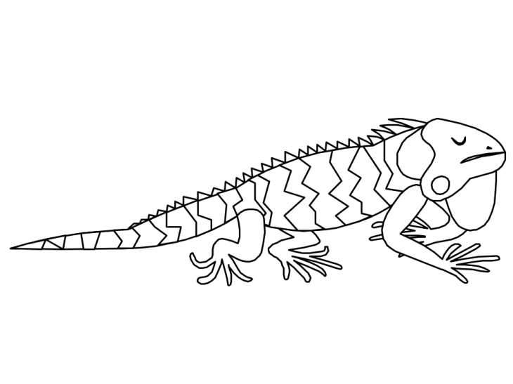 Desenho de Iguana para colorir