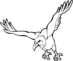 Coloriage vautour