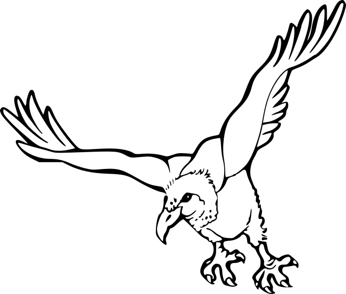 Vulture coloring page