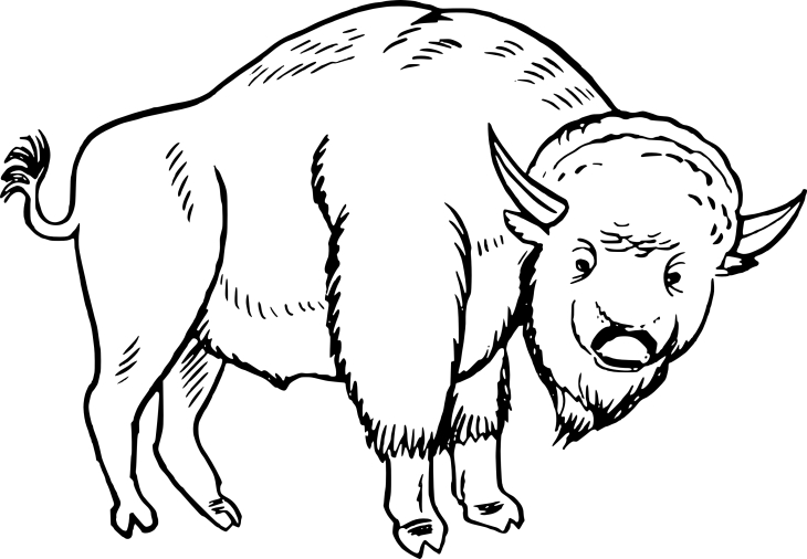 Coloriage bison