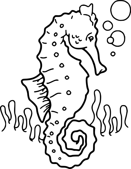 Seahorse coloring page