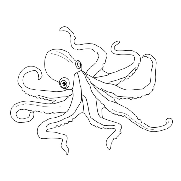 Octopus coloring page