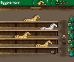Nourrir chevaux
