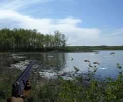 Tir canards