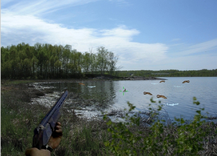 Tir canards