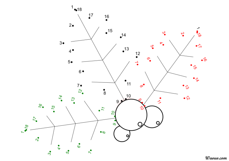 Coloring dot to connect holly