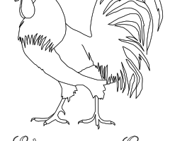 Coloriage coq