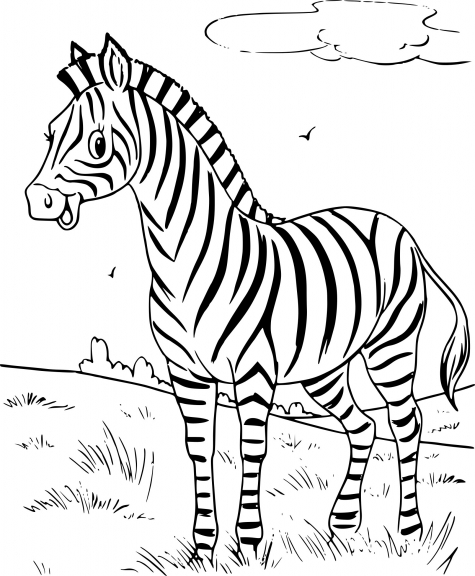 Zebra coloring page