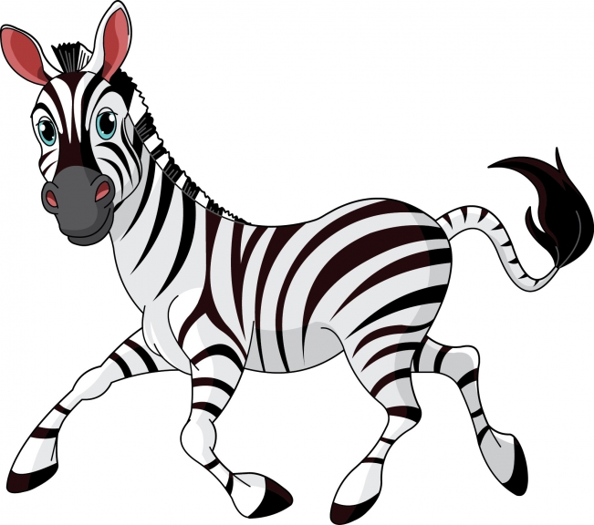 Zebra