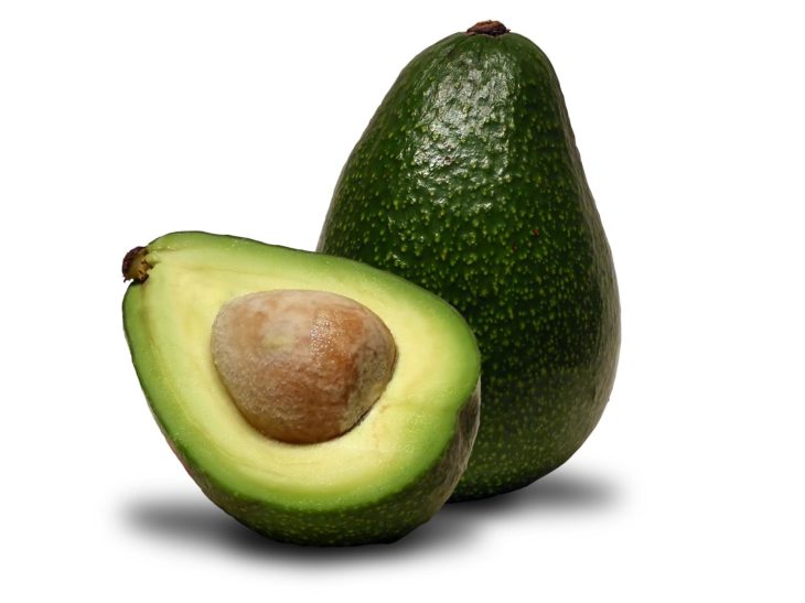 Avocado frugt