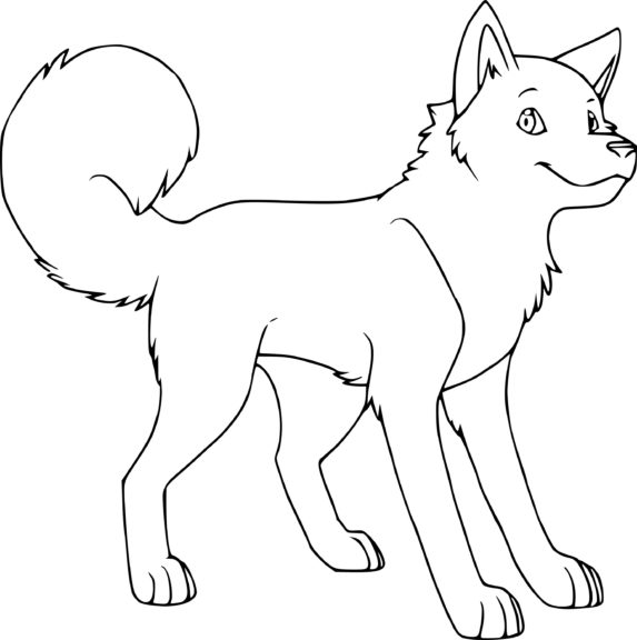 Dibujo de perro husky para colorear